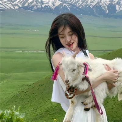 彩凤笙歌