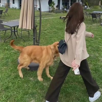 猎象通辑令